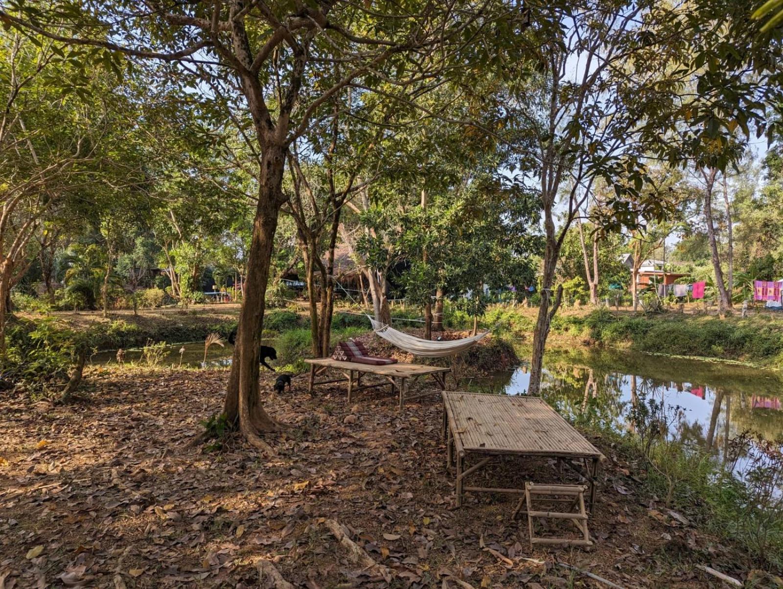 The River Retreat Koh Mak Bagian luar foto