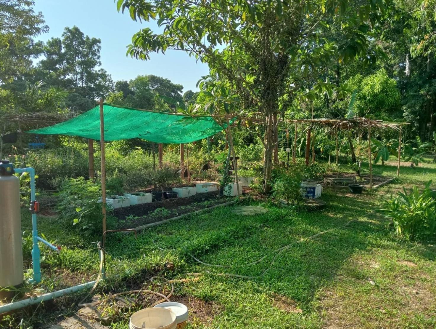 The River Retreat Koh Mak Bagian luar foto